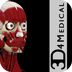 Muscle System Pro III